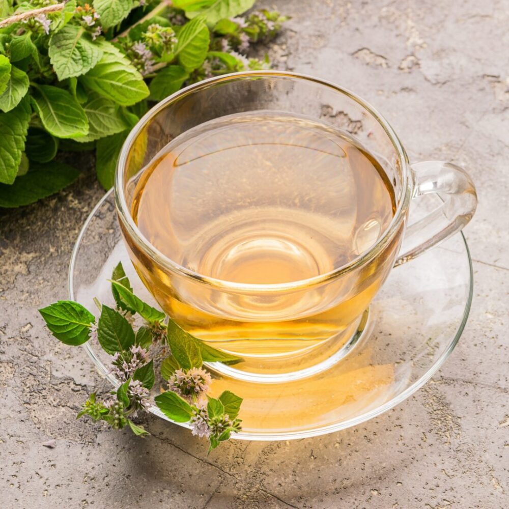 Cup of tea drink with fresh leaves of peppermint melissa gray background. Healing herbal drink
