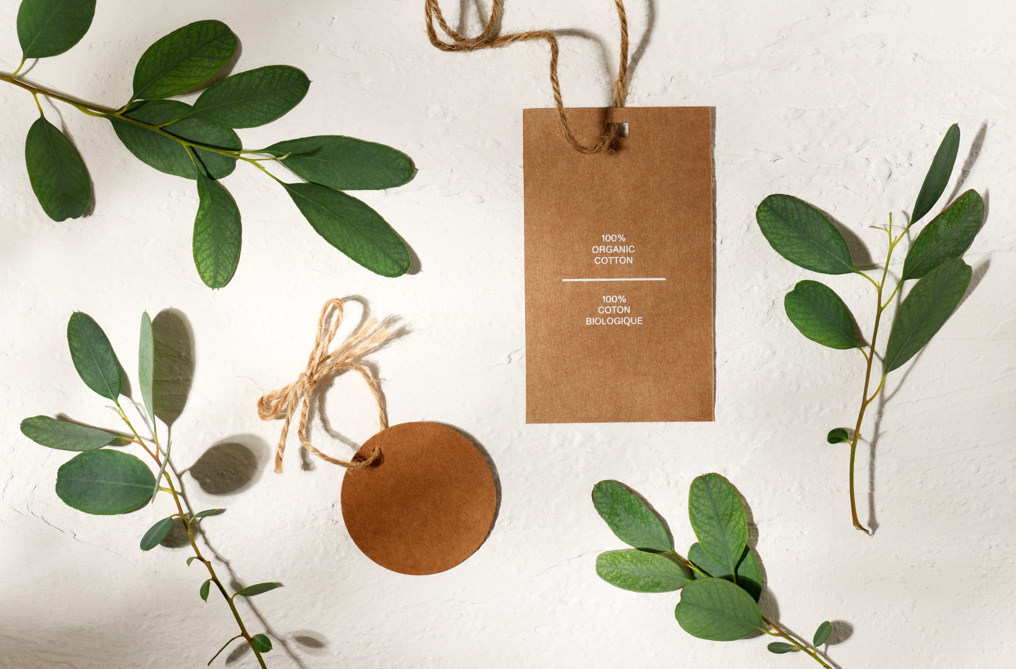 Tags mock up