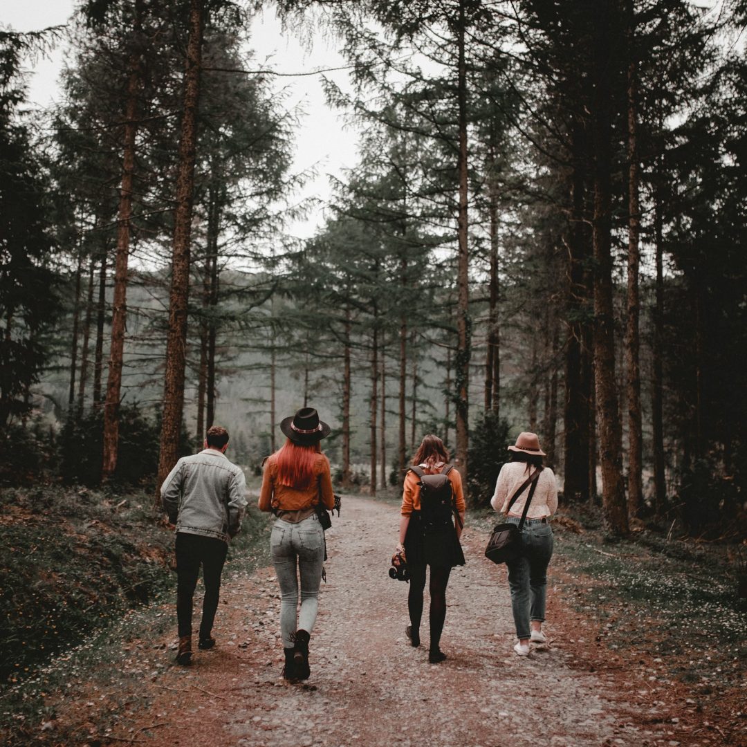 Friends going on forest road