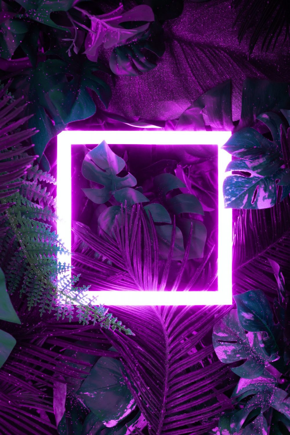Creative fluorescent color layout made of tropical leaves with neon light square.
