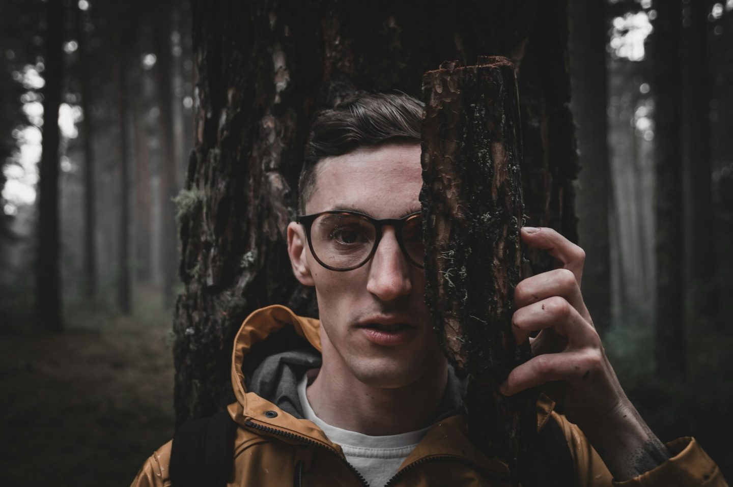 Atmospheric photography based on the book "Norwegian Forest"