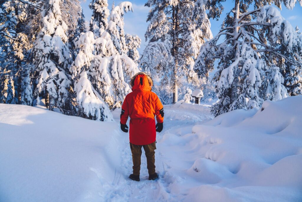 Back view of male in trendy red winter coat standing on snowy road in wood explore destination on tr