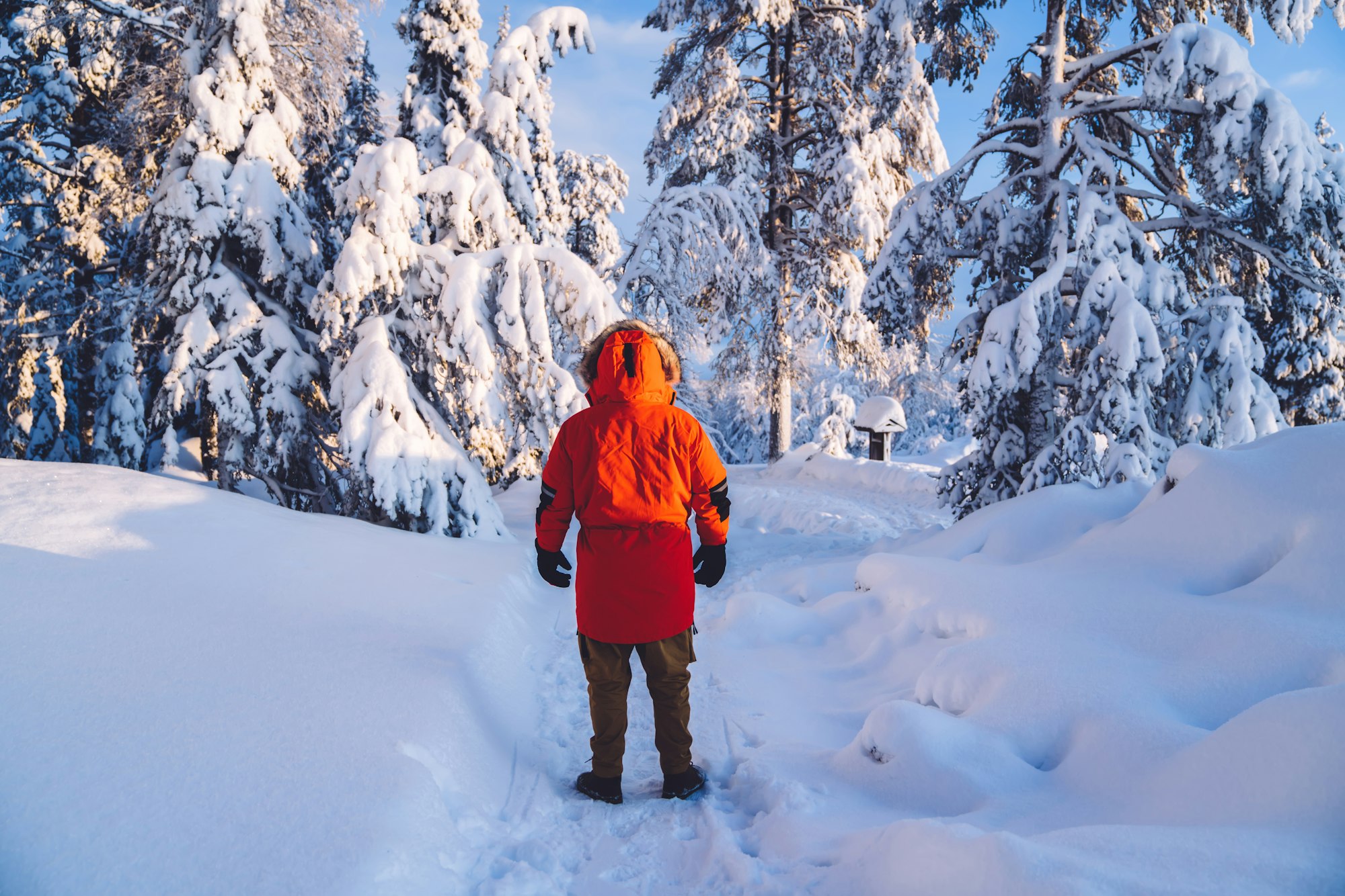 Back view of male in trendy red winter coat standing on snowy road in wood explore destination on tr